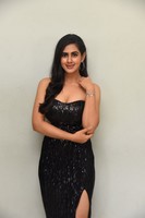 Gehna Sippy Gallery